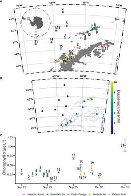 Potential interactions between diatoms and bacteria are shaped by trace element gradients in the Southern Ocean